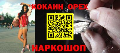 гашик Гусев