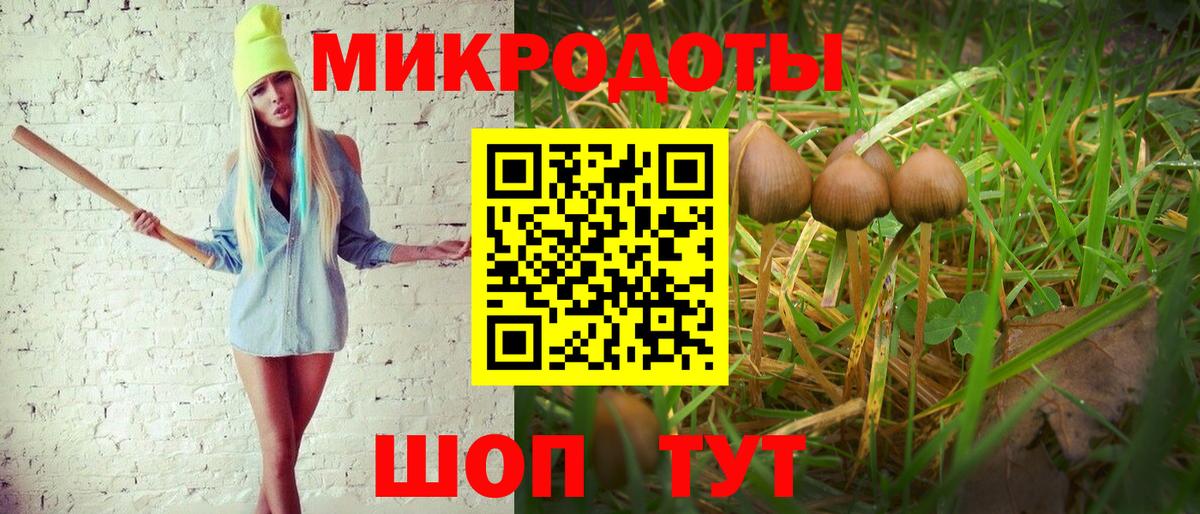 Чистополь  Псилоцибиновые грибы мицелий  Вход с VPN 